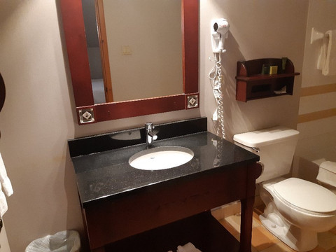 Lodge de la Montagne主图