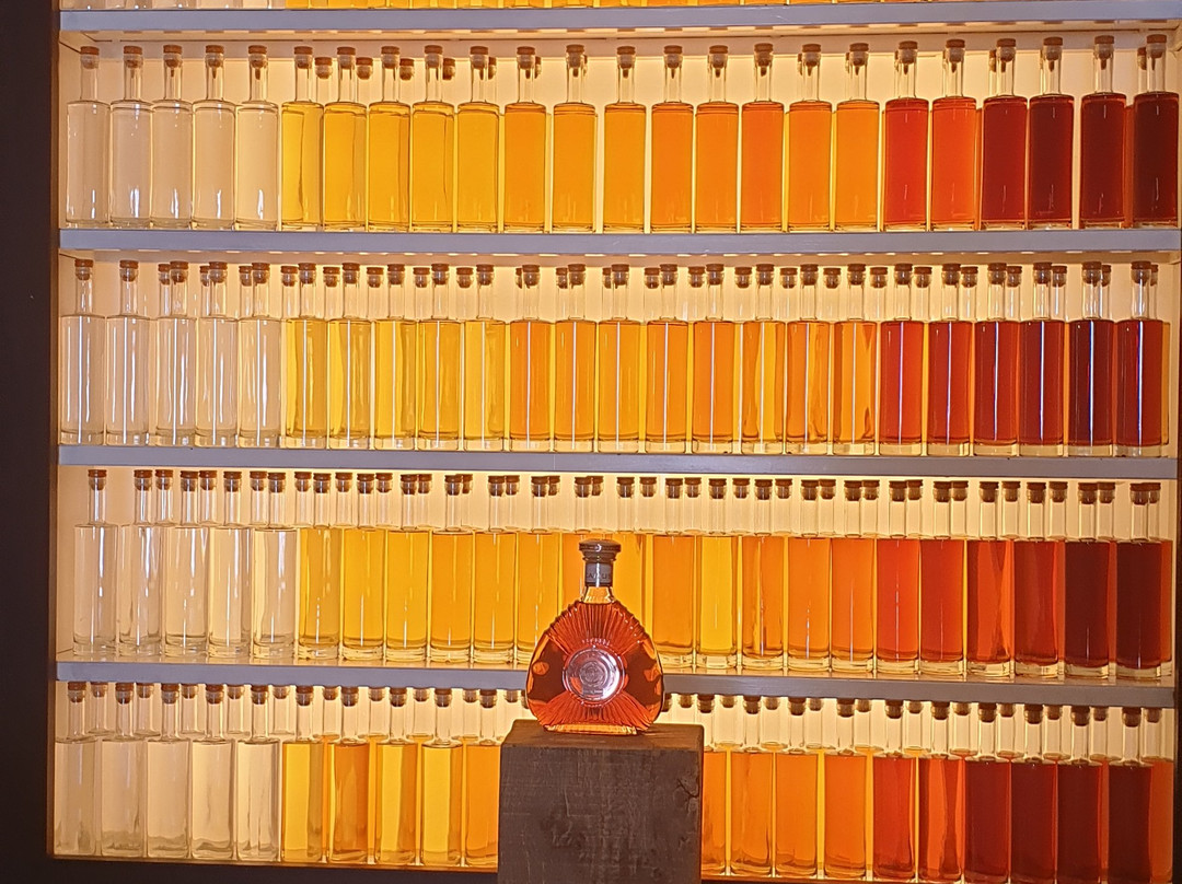 Camus Cognac景点图片