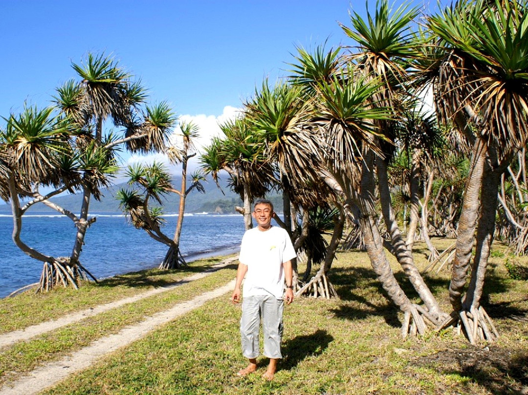 Bay des Tortues Turtle Bay-塔纳岛必去景点