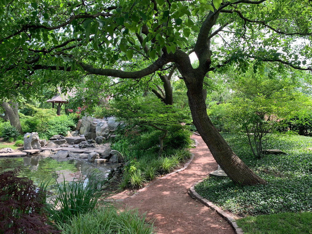 Jackson Park's Japanese Garden-芝加哥必去景点