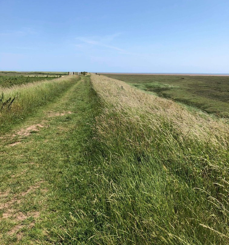 RSPB Freiston Shore景点图片