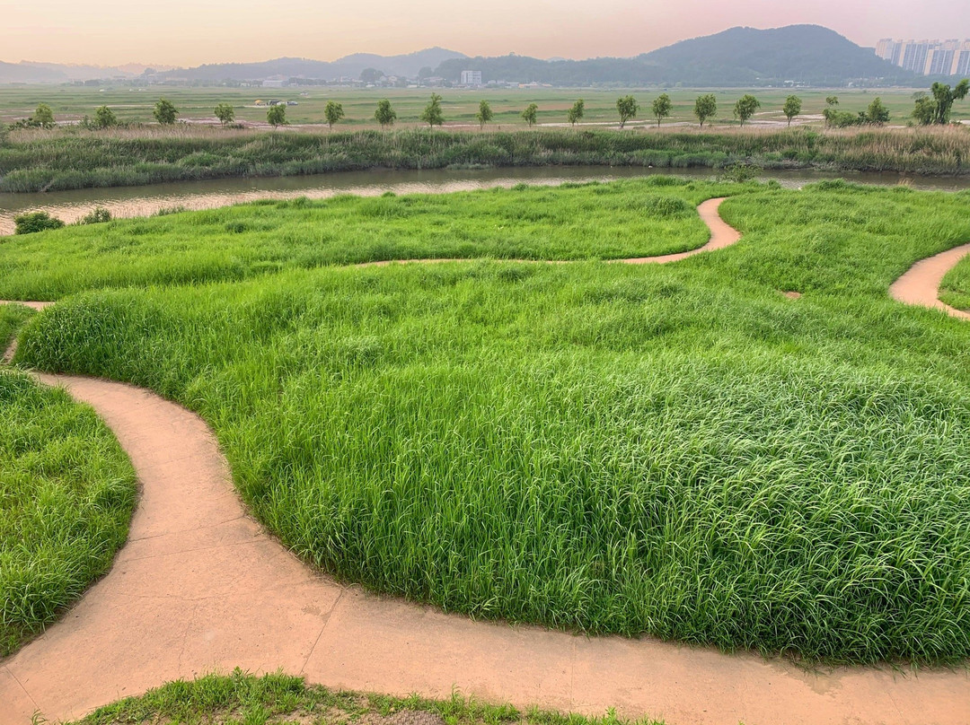 Gaetgol Eco Park-始兴市必去景点