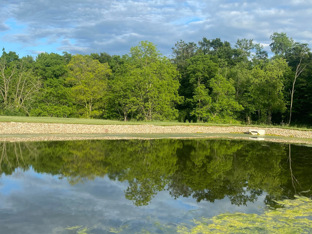 Berlin Encore Hotel & Suites主图