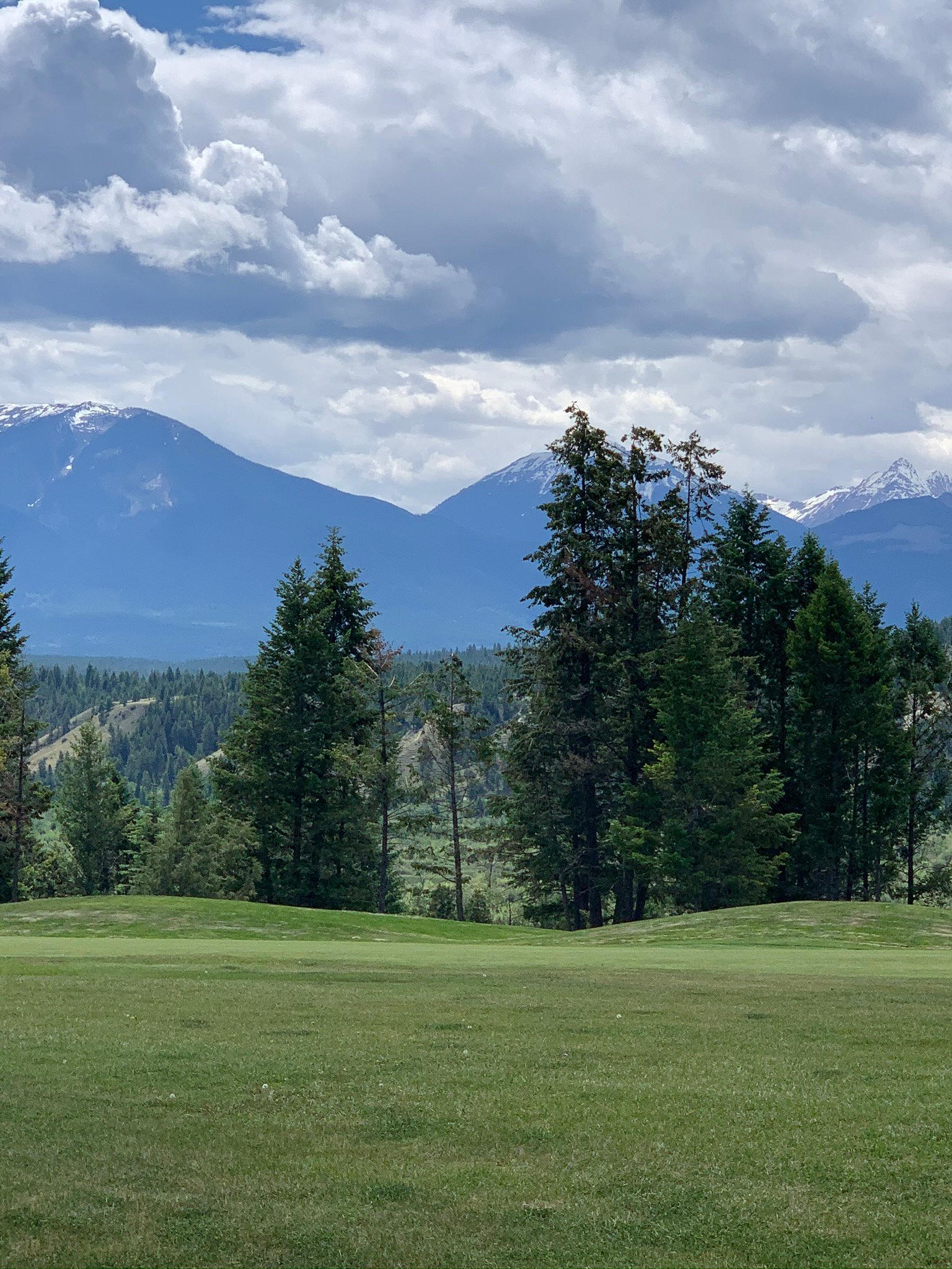 Bighorn Meadows Resort-酒店景观
