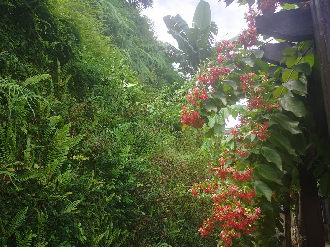 Agriculture Heritage Park-太子城必去景点