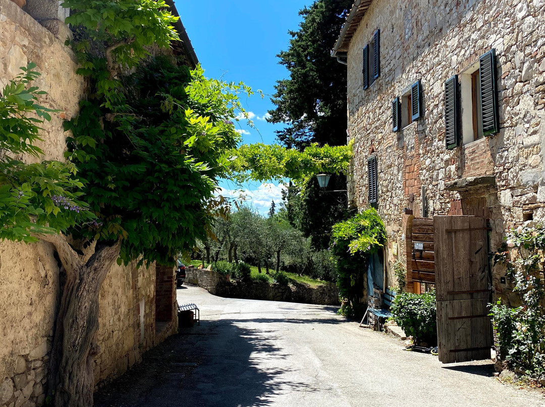 Castello Di Fonterutoli Wine Resort主图