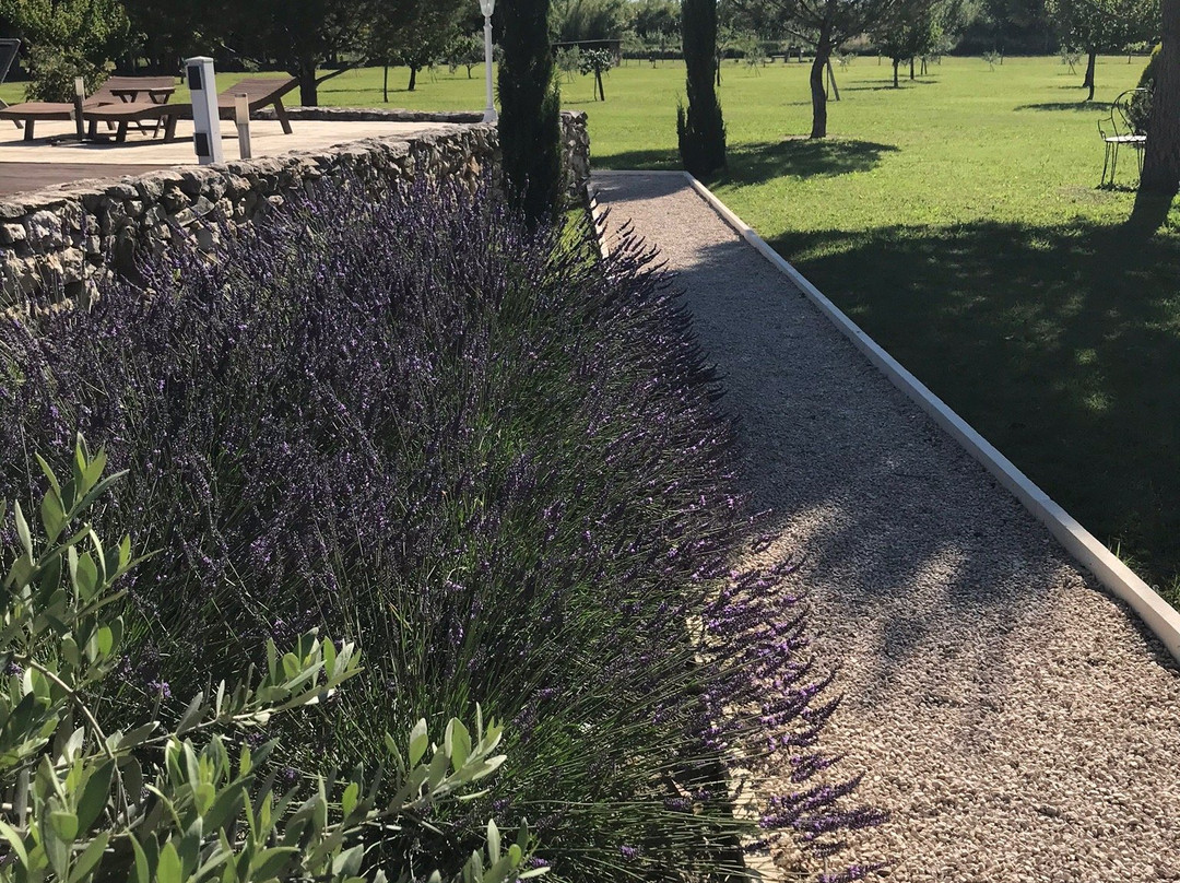 Le Mas des Chutes主图