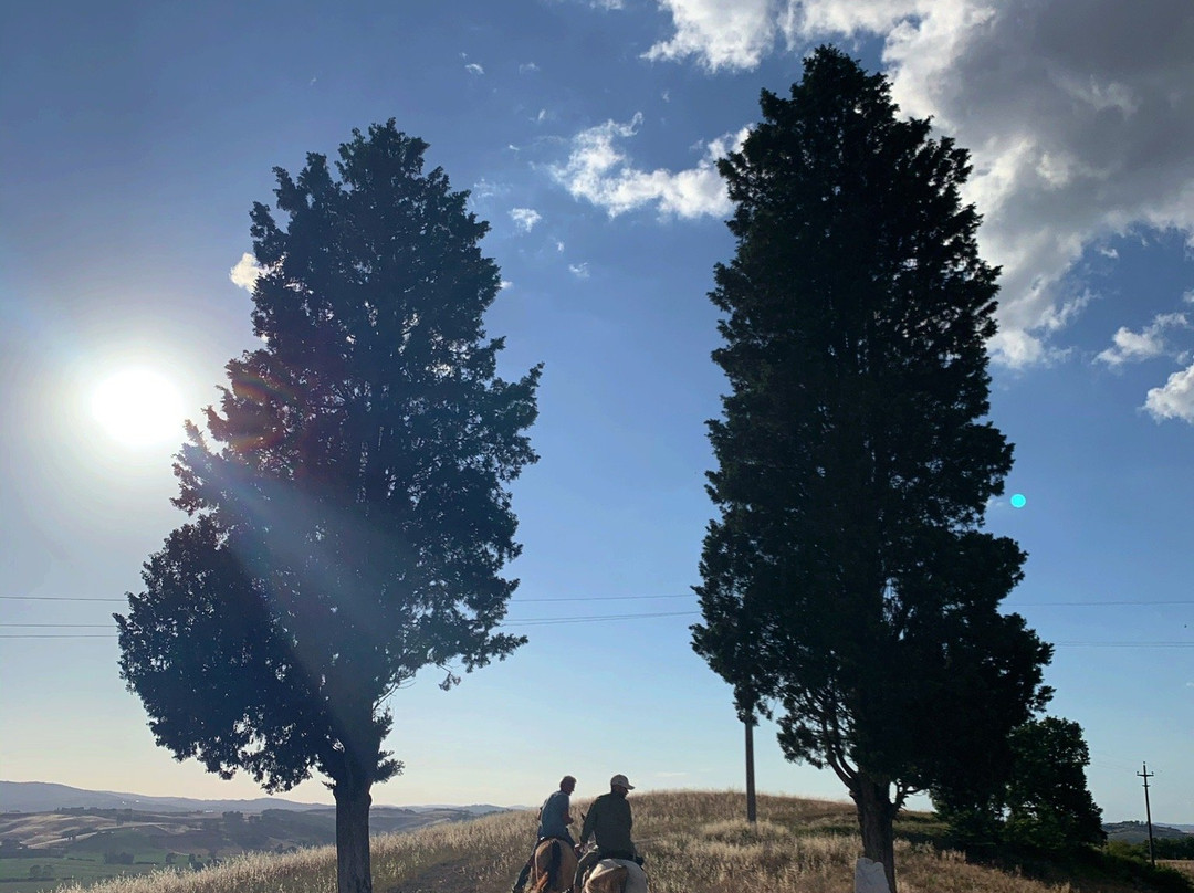 IL MISSOURI-Buonconvento必去景点