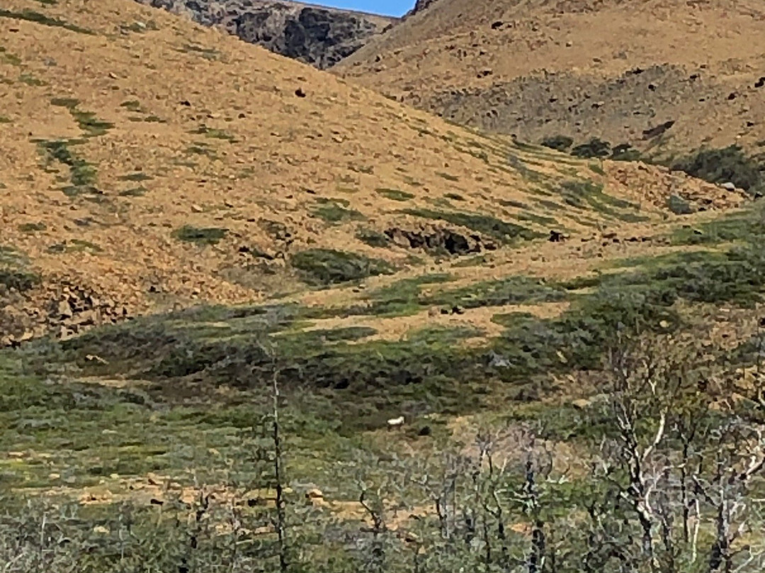 Trout River Pond景点图片