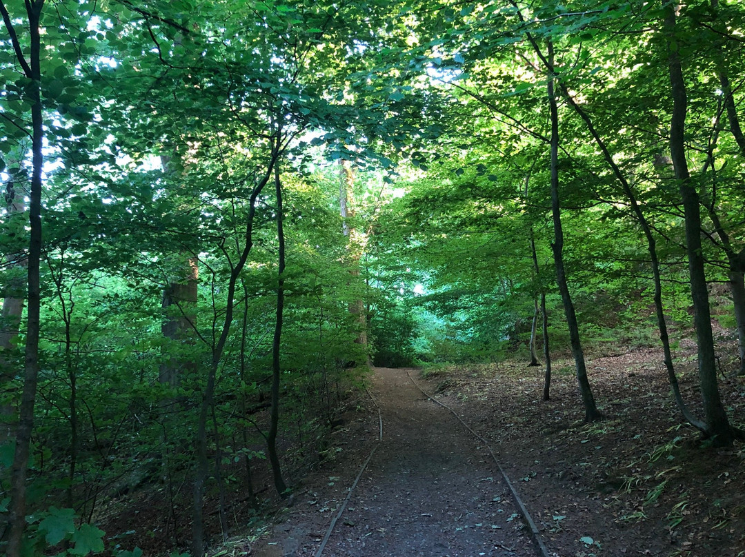 Sunnyhurst Wood-Darwen必去景点