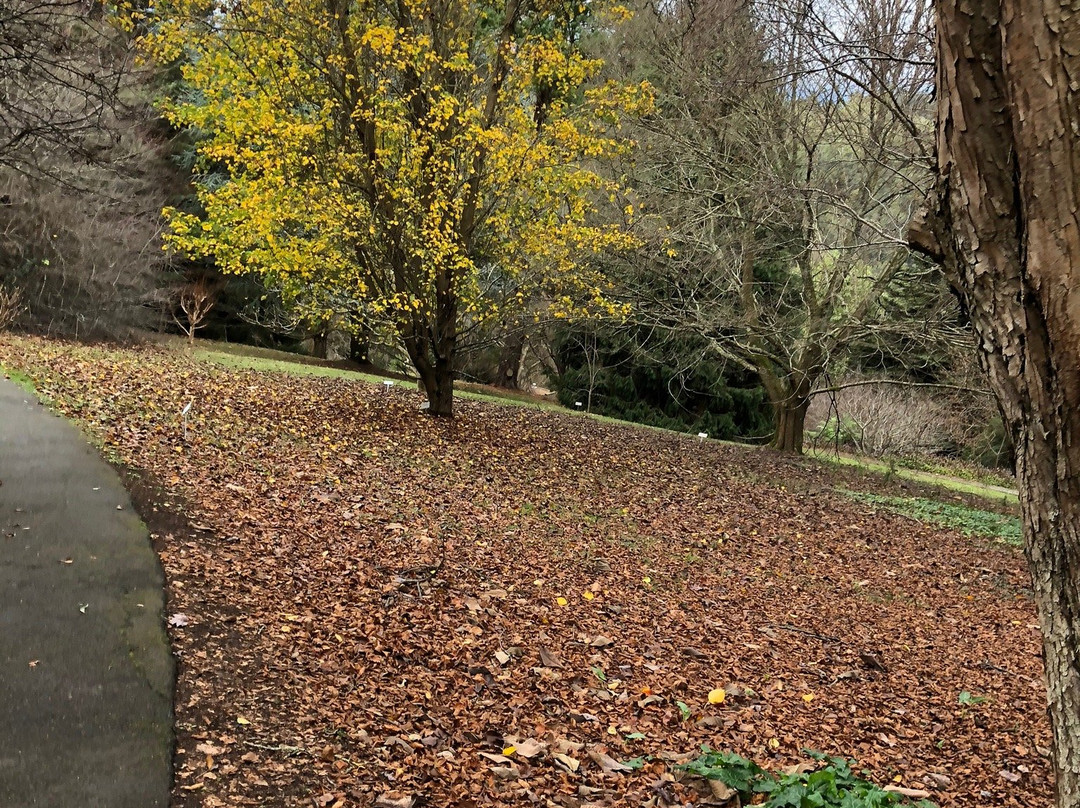 Pirianda Garden-奥林达必去景点