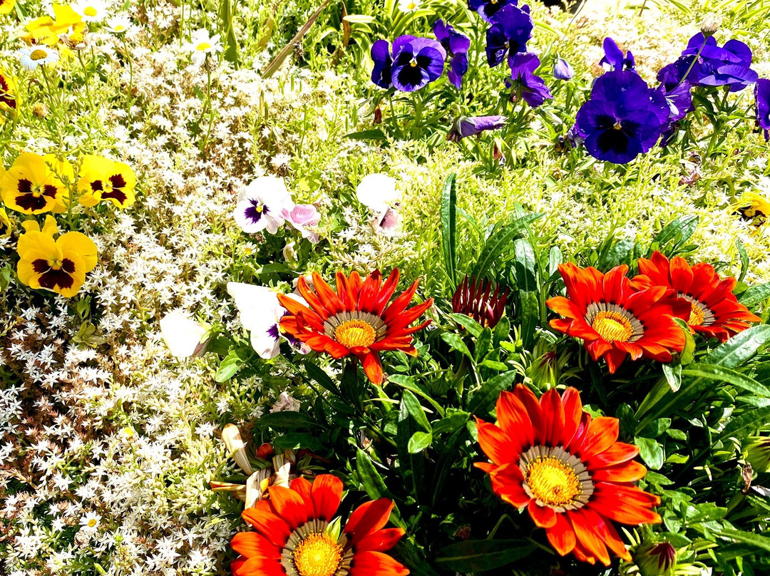 Musashi Kokubunji Park-国分寺市必去景点