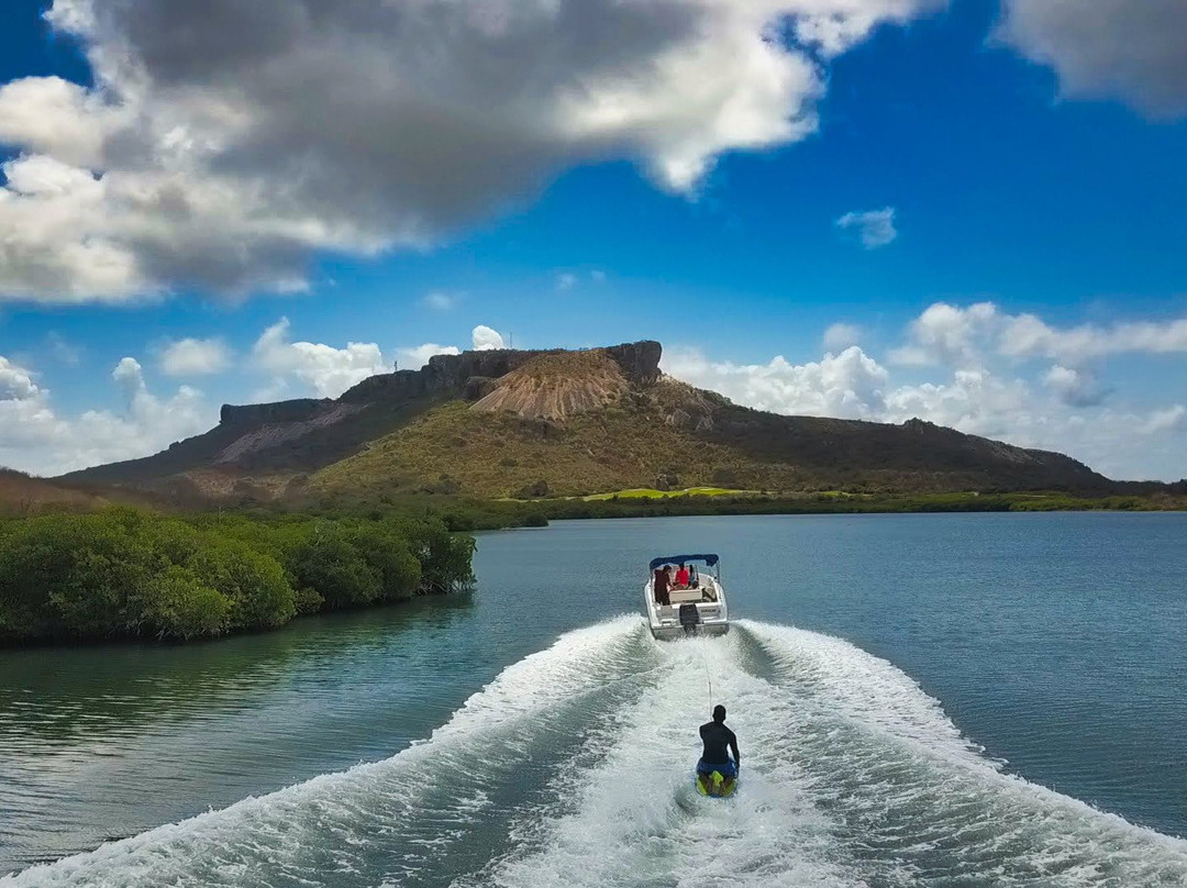 Trip and Treat VIP Boat Tours-威廉斯塔德必去景点