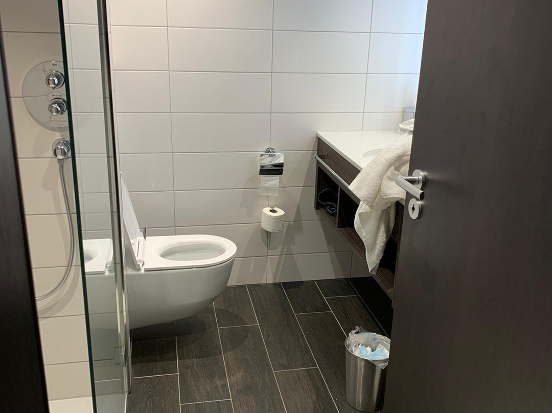 Hilton Garden Inn Zurich Limmattal主图