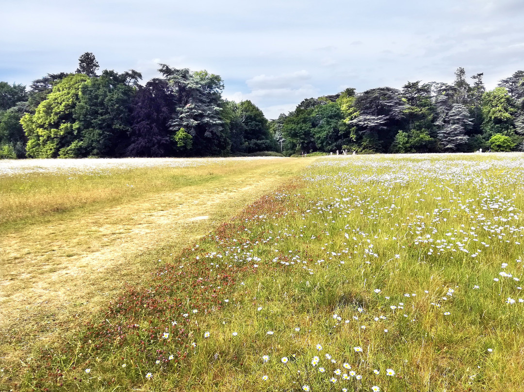 Nowton Park-圣埃德蒙兹伯里必去景点