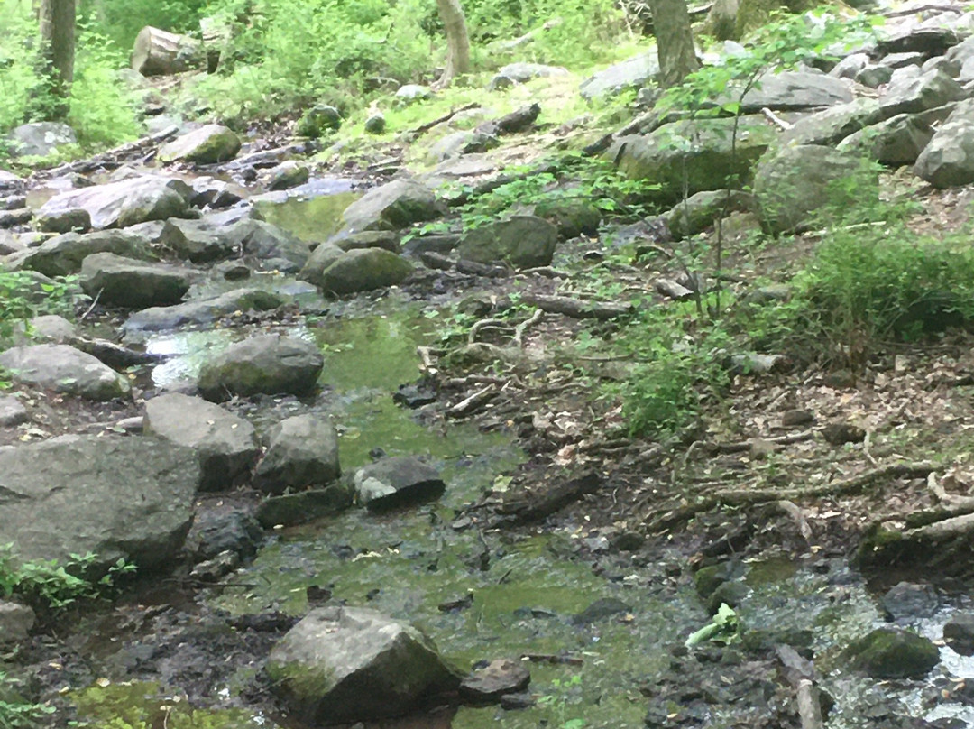 Sourland Mountain Preserve景点图片