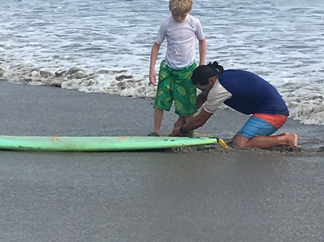 The Sunset Shack主图