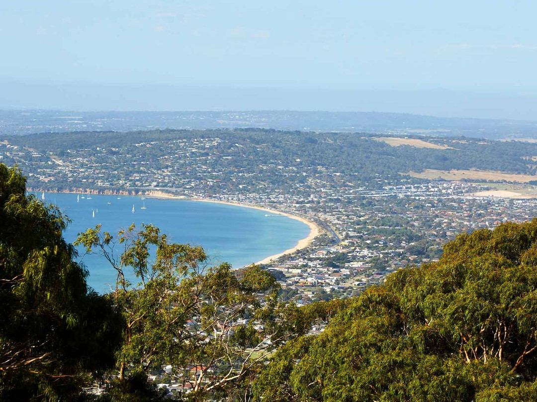 Arthurs Seat State Park景点图片