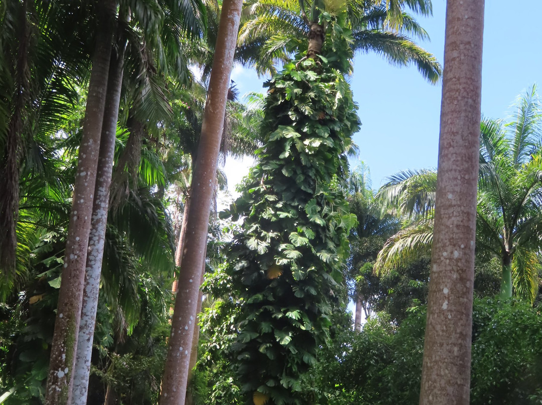 Flower Forest-Saint Thomas Parish必去景点