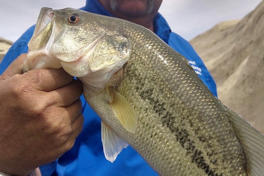 Outdoor Adventure Rentals-鲍威尔湖必去景点