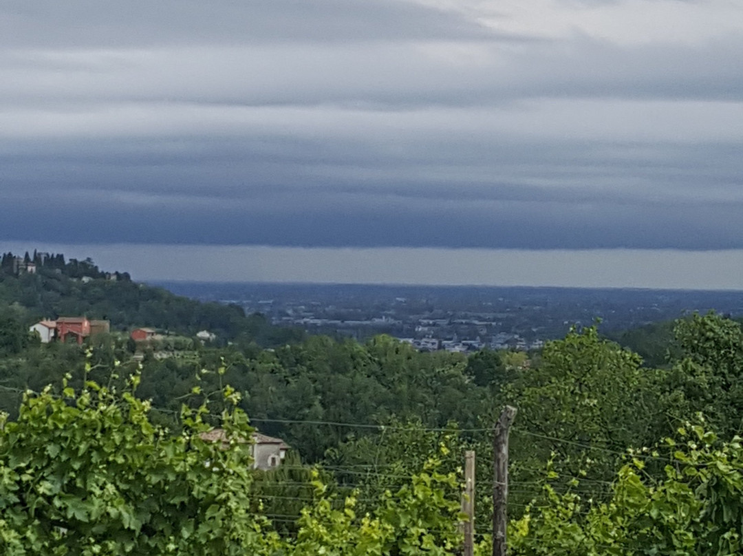 Zinto-科内利亚诺必去景点