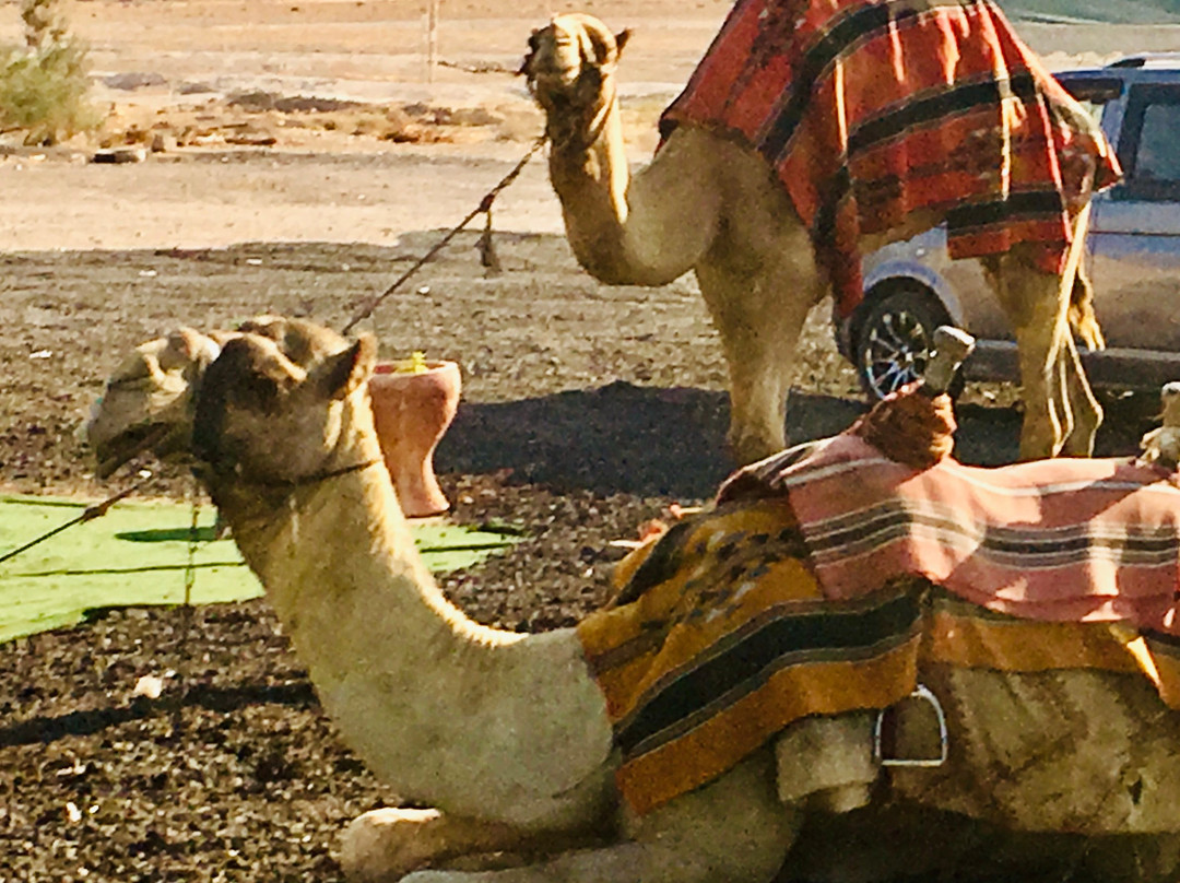 Uri Golani - Private Day Tours-耶路撒冷必去景点