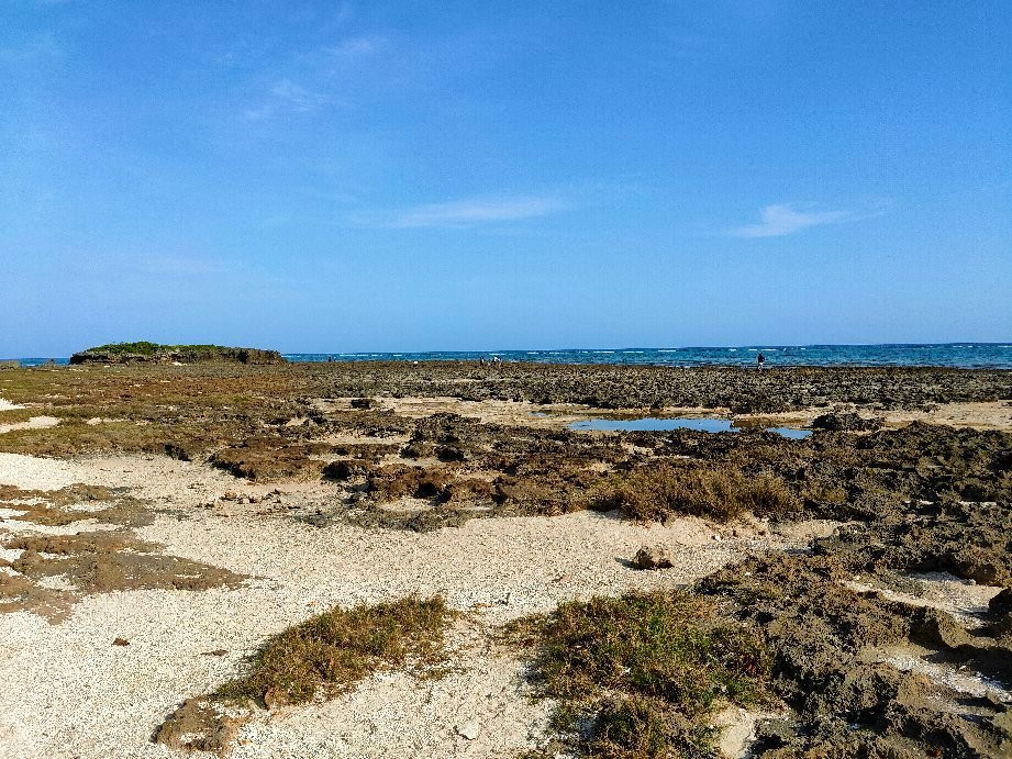 Ojima Coast景点图片