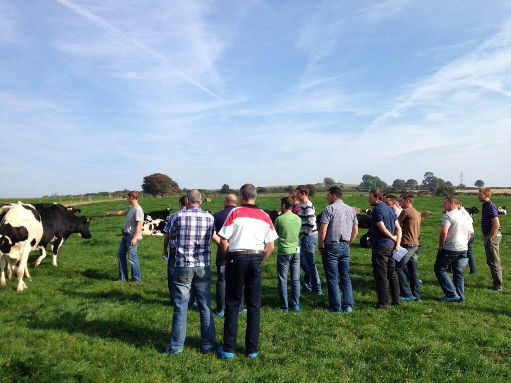 Farm Tours Ireland景点图片