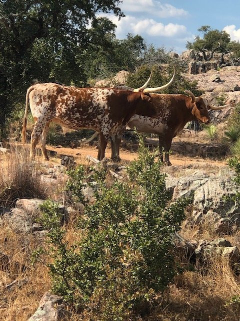 Torr Na Lochs Vineyard & Winery-Burnet必去景点