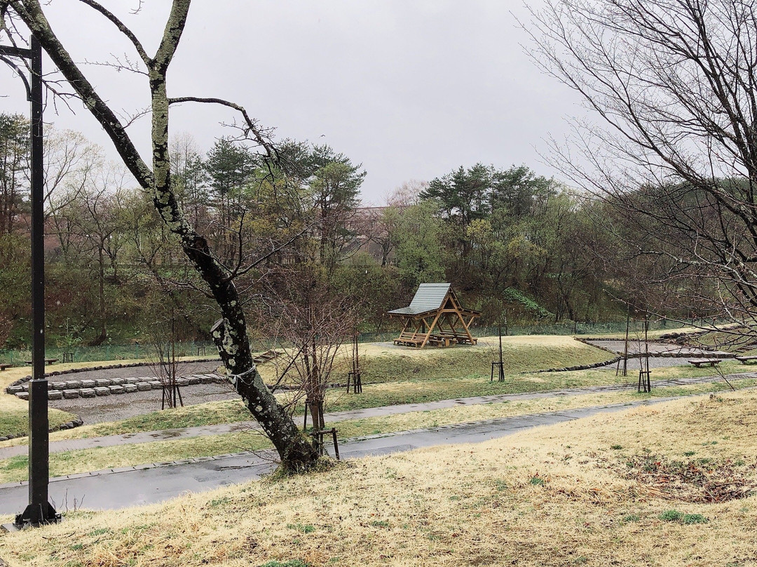 Tateno Park景点图片