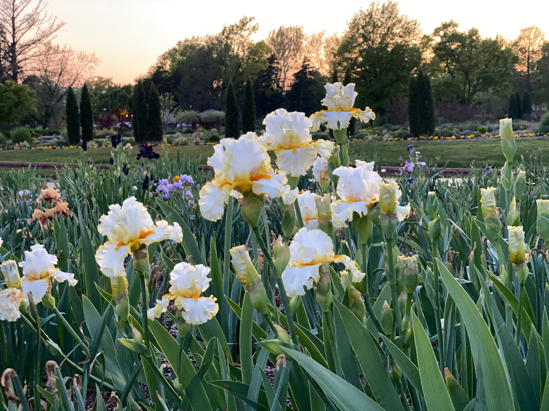 Will Rogers Park-俄克拉何马城必去景点