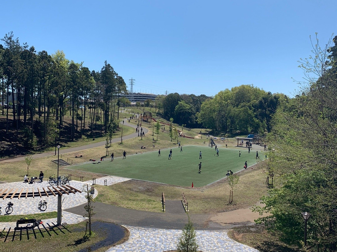 Serizawa Park-座间市必去景点