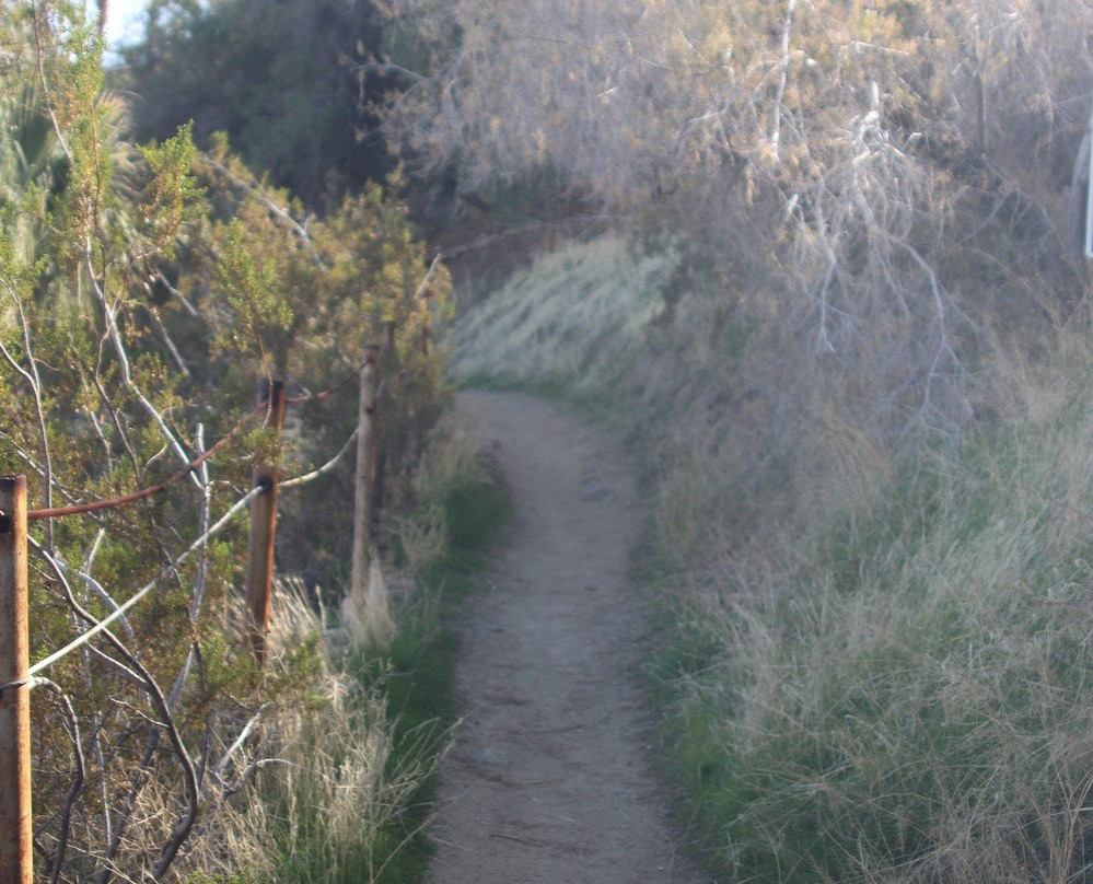 Araby Trail-大教堂城必去景点
