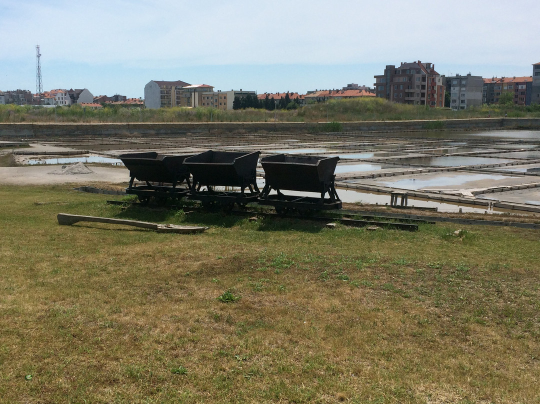 Pomorie Lake Visitor Centre景点图片