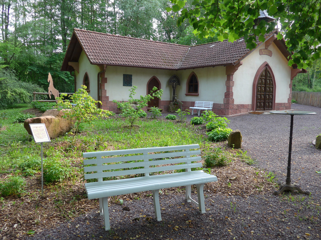 Hotel Dammenmühle主图