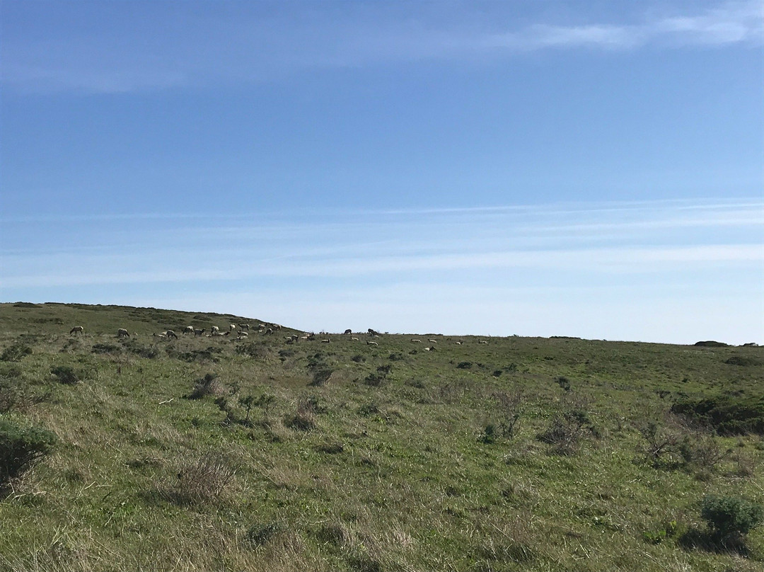 Point Reyes Tours景点图片