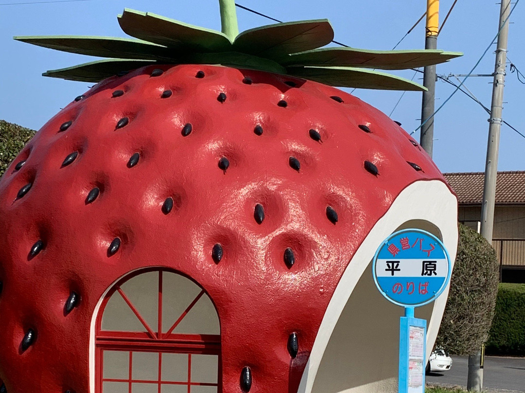 Fruits Bus Stop景点图片