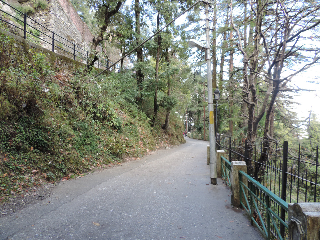 The Camel Rock-马苏里必去景点