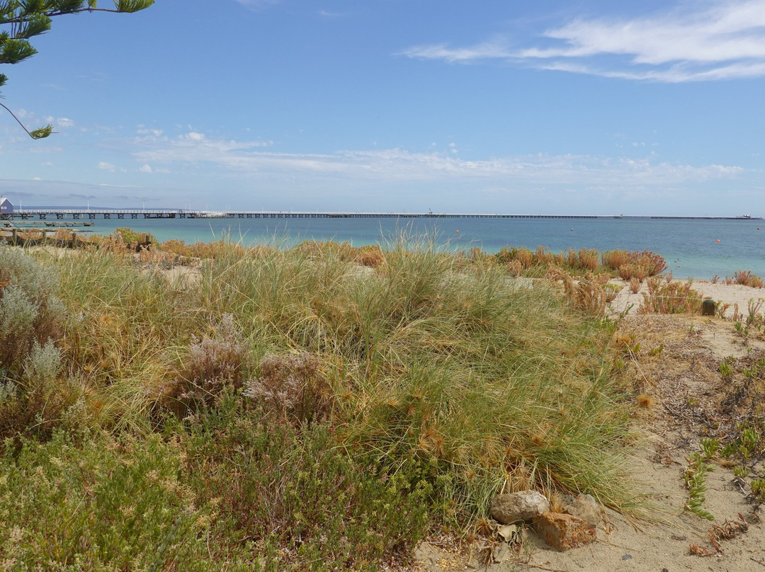 Busselton Foreshore景点图片