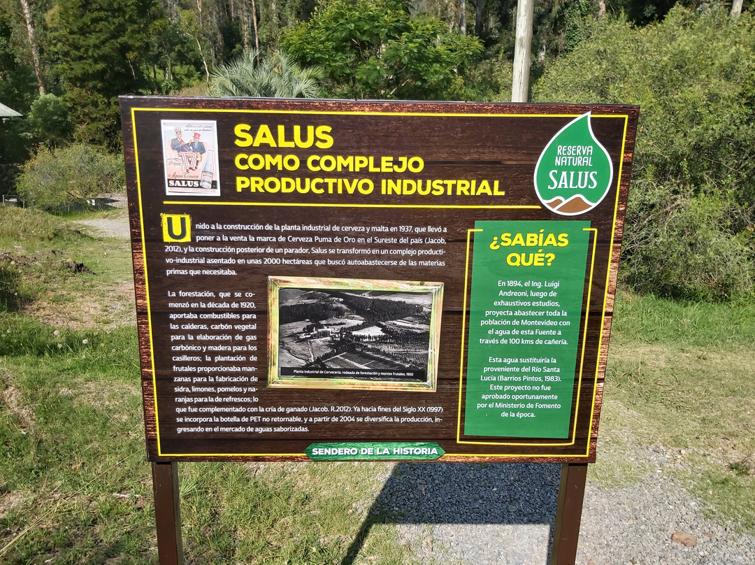 Salus' Park-Minas必去景点