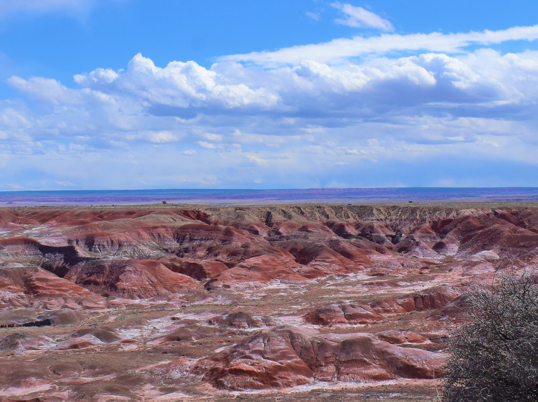 Painted Desert Rim Trail-石化林国家公园必去景点