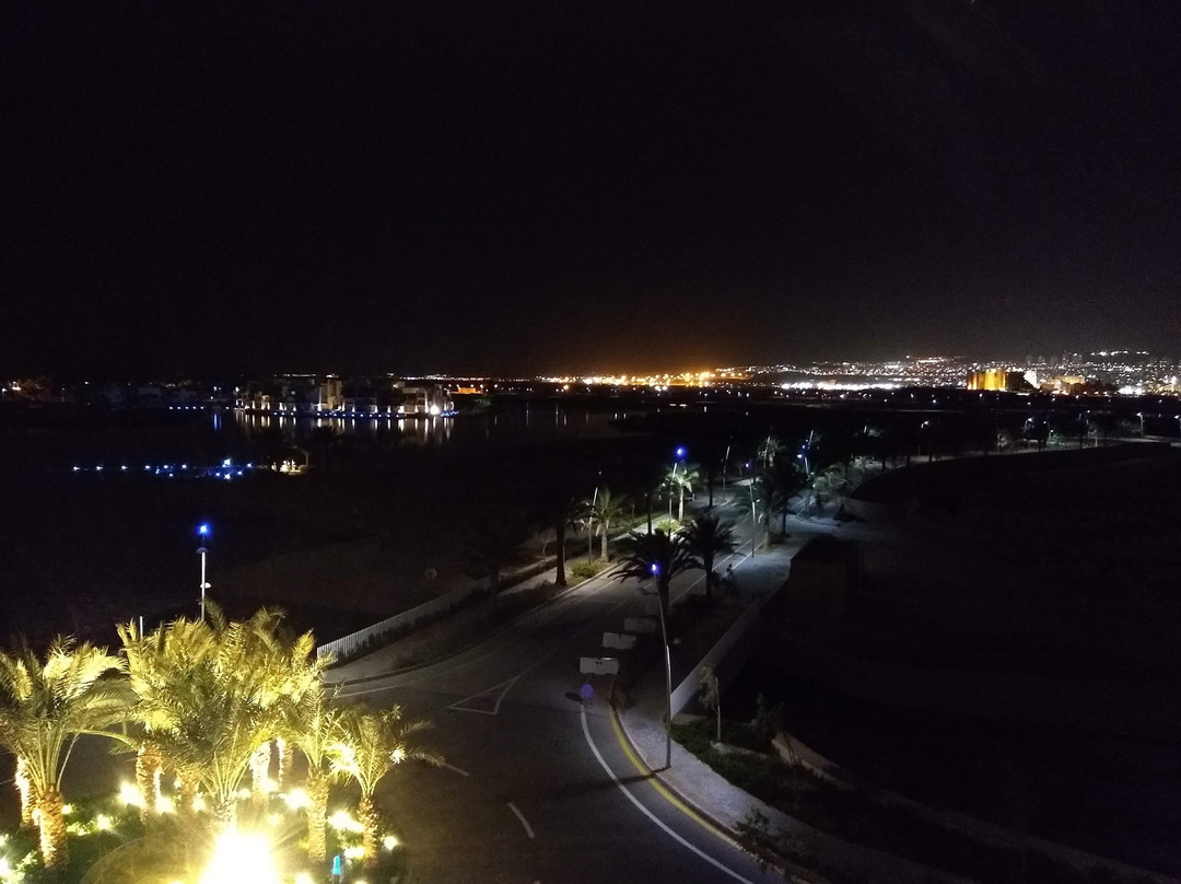 Hyatt Regency Aqaba Ayla Resort主图