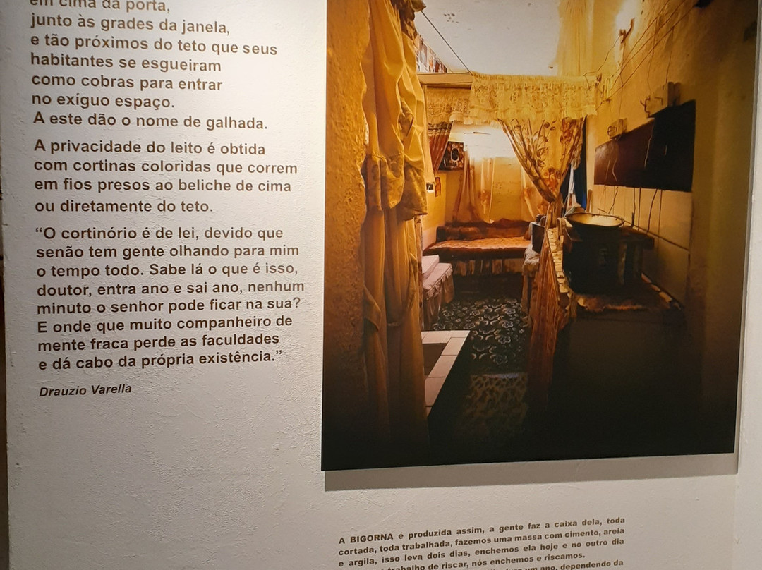 Parque Da Juventude-圣保罗必去景点