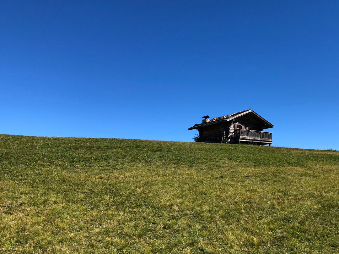 Seiser Alm - Alpe di Siusi景点图片