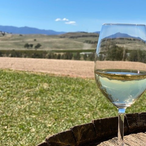 Delatite Wines-曼斯菲尔德必去景点