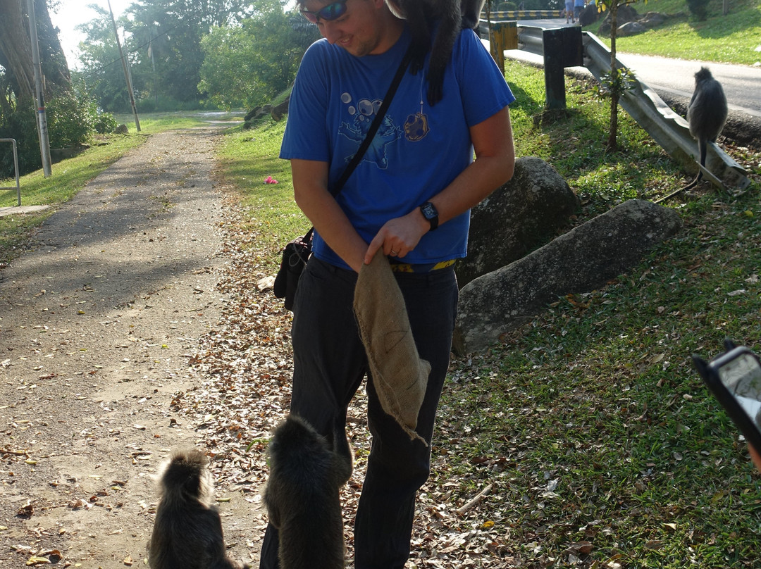 Bukit Melawati-瓜拉雪兰莪必去景点