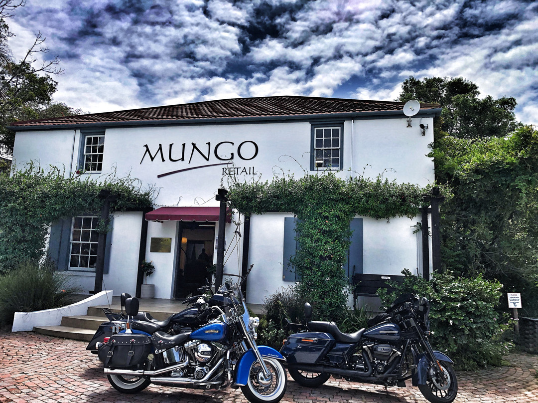 Mungo Mill-普利登堡湾必去景点