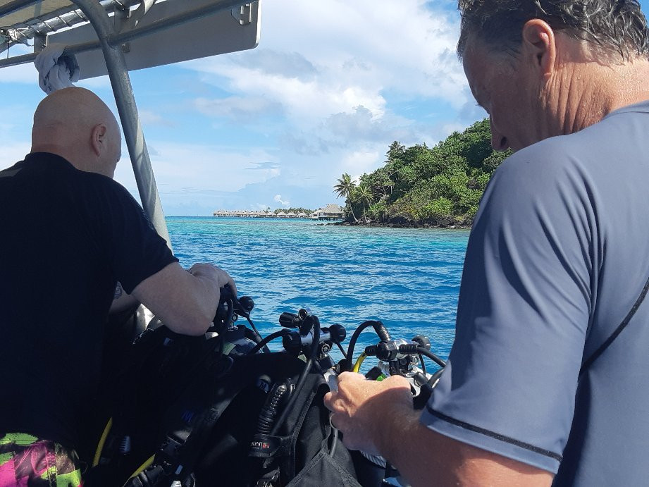 Top Dive, Bora Bora景点图片