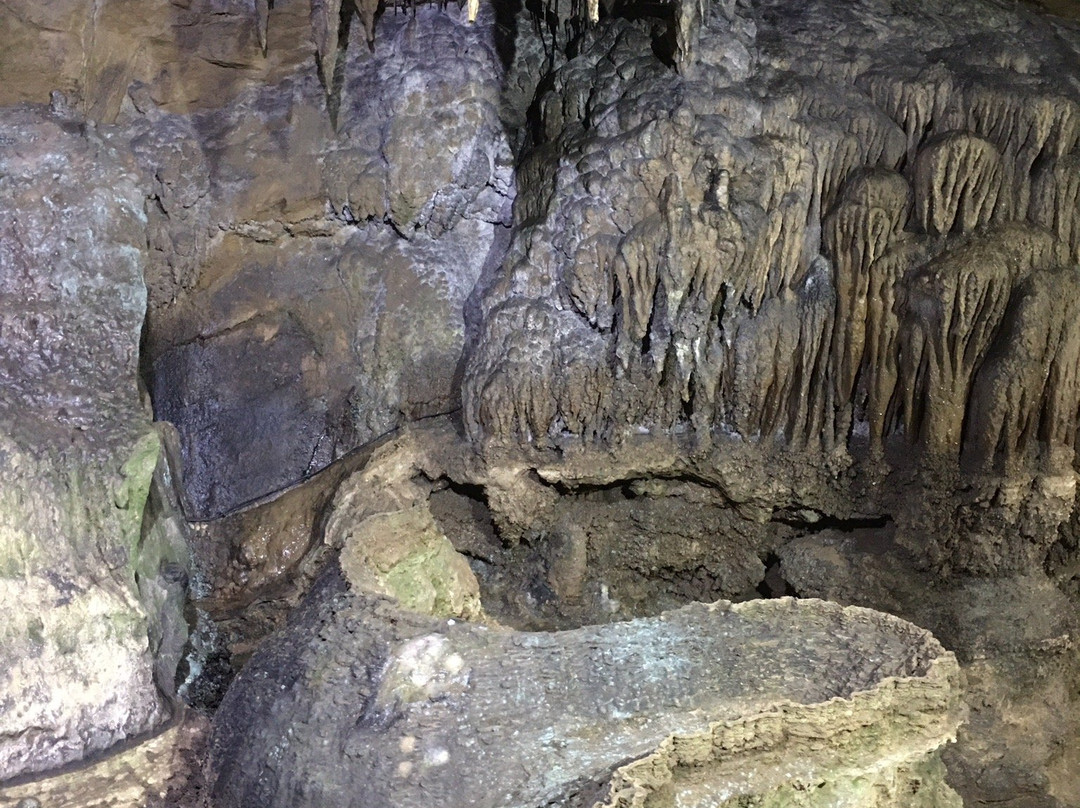 Littlebank Country House主图