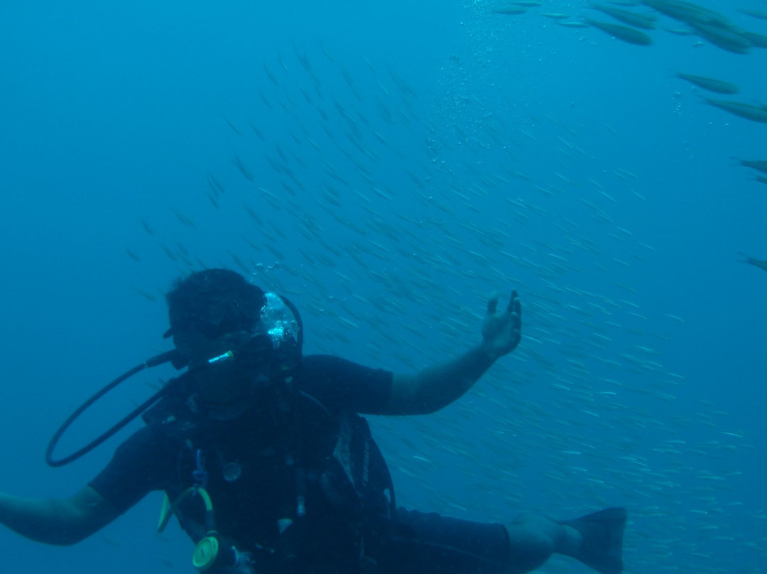 Sri Lanka Diving Tours - Negombo景点图片